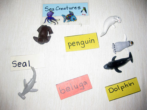 Sea Creatures